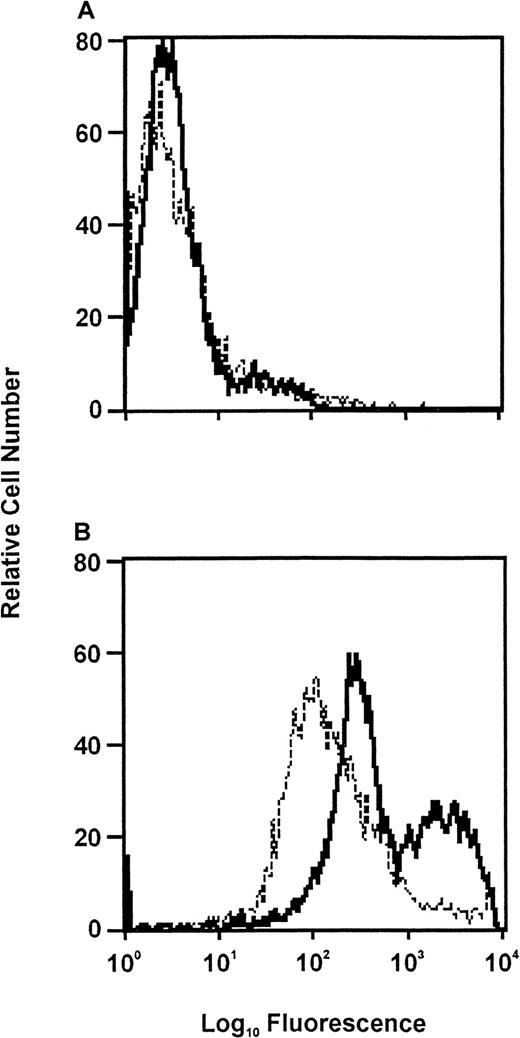 Fig. 8. FACS analysis of neutrophils from blood of control mice (dashed lines) and from the peritoneal cavity of mice challenged with thioglycollate (solid lines). / Inclusion of EACA in the incubation media decreased plasminogen binding to both the peripheral blood and peritoneal neutrophils by a similar amount. (A) Neutrophils were incubated in buffer followed by FACScan analysis (negative control). (B) Neutrophils were incubated with Alexa Fluor 488–labeled plasminogen for 1 hour at 37°C before FACS.
