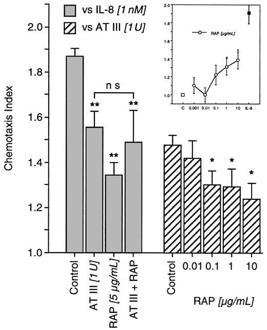 Fig. 5. Impact of RAP on AT III effects in neutrophils. / In deactivation experiments, cells were pretreated for 20 minutes with AT III, RAP, or both concomitantly. Thereafter, IL-8–induced chemotaxis was tested (left). Chemotaxis to AT III was investigated after the treatment of cells with RAP at various concentrations (right). In addition, untreated neutrophils were allowed to migrate to various concentrations of RAP (inset). Migration time to nitrocellulose filters was 30 minutes. After fixing and staining of filters, migration depth was quantified microscopically. The chemotaxis index is the ratio between the distances of directed and undirected migration of neutrophils. Means of chemotaxis indices were compared by Mann-Whitney test after Kruskal-Wallis analysis of variance (P < .001). *P < .05; **P < .01. ns, not significant; n = 6.