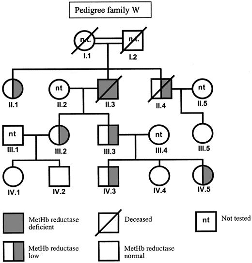 Fig. 2. Pedigree of family W. / See also Table 2.