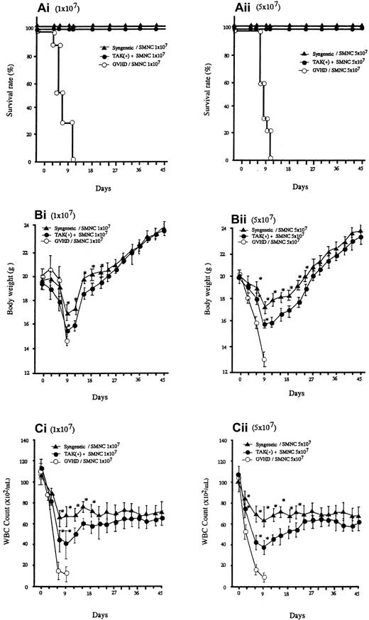 Fig. 1. Survival and serial change of body weight (BW) and total WBC of BALB/c mice after BMT. / Survival (Ai,ii), serial change of BW (Bi,ii) and total WBC count (Ci,ii) of BALB/c mice given 10 Gy TBI followed by 2 × 107 BM cells and 107 or 5 × 107 spleen cells from C57BL/6 mice (○), 2 × 107 BM cells and 107 or 5 × 107 spleen cells from C57BL/6 mice and daily oral administration of TAK-603 (50 mg/kg/100 μL 0.5% methylcellulose solution) from the day of transplantation to 45 days after transplantation (●), and 2 × 107 BM cells and 107 or 5 × 107 spleen cells from BALB/c (syngeneic) mice (▴). The BW (B) and total WBC counts (C) of the survivors were measured once every 3 days from the day of transplantation to 45 days after transplantation. The data represent mean ± SD. *P < .05