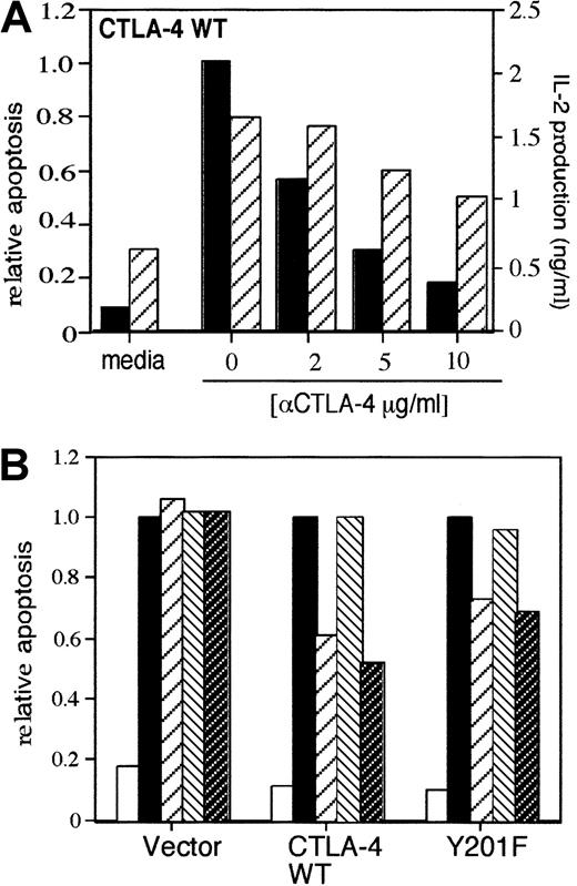 Fig. 2. CTLA-4 inhibition of AICD independent of a CTLA-4 effect on IL-2 production. / (A) CTLA-4 inhibits AICD and IL-2 production in CTLA-4 transfectants. Cells were stimulated with anti-CD3 at a concentration of 0.5 μg/mL and a range of anti–CTLA-4 concentrations from 2 to 10 μg/mL. Supernatants were collected 24 hours after stimulation, and IL-2 levels were determined by ELISA. Anti-TNP control antibody was added to keep the final concentrations equivalent. ▨ indicates IL-2 production; ▪, relative apoptosis. (B) Addition of exogenous IL-2 does not reverse anti–CTLA-4 blockage of AICD. Cells were stimulated with 0.5 μg/mL of anti-CD3 and 10 μg/mL of anti–CTLA-4 with or without recombinant mouse IL-2 (20 U/mL). ■ indicates media; ▪, αCD3; ▨, αCD3 + αCTLA-4; ▧, αCD3 + rIL-2; ▩, αCD3 + αCTLA-4 + rIL-2.