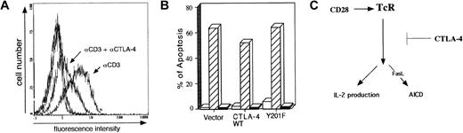 Fig. 3. Engagement of CTLA-4 accompanying reduced FasL surface expression. / (A) Anti–CTLA-4 reduced expression of FasL. Cells transfected with CTLA-4 WT were stimulated with the indicated antibodies bound to plates: anti–CTLA-4 (10 μg/mL), anti-TNP (10 μg/mL) control, and anti-CD3 (0.5 μg/mL). The cells were harvested after 6 hours, stained with biotinylated anti-FasL antibody followed by fluorescein isothiocyanate-labeled avidin. Subsequently, the cells were gated and analyzed by flow cytometry. A histogram of FasL staining on FL-1 is displayed. (B) Anti-FasL blocks anti-CD3–induced apoptosis in DC27.10 transfectants. CTLA-4 WT transfectants were stimulated with the indicated antibodies bound to plates: anti–CTLA-4 (10 μg/mL), anti-TNP (10 μg/mL) control, and anti-CD3 (0.5 μg/mL) with or without soluble blocking anti-FasL antibody (10 μg/mL). The cells were harvested 24 hours later and stained with PI. Apoptosis was measured as described in “Study design.” ■ indicates control; ▨, αCD3; ▪, αCD3 + αFasL. (C) Model of CTLA-4 blockage of IL-2 production and AICD. The coreceptor acts to dampen TCR/CD3 signaling at an early stage in T-cell activation prior to the bifurcation of signals leading to IL-2 production and FasL expression and AICD.
