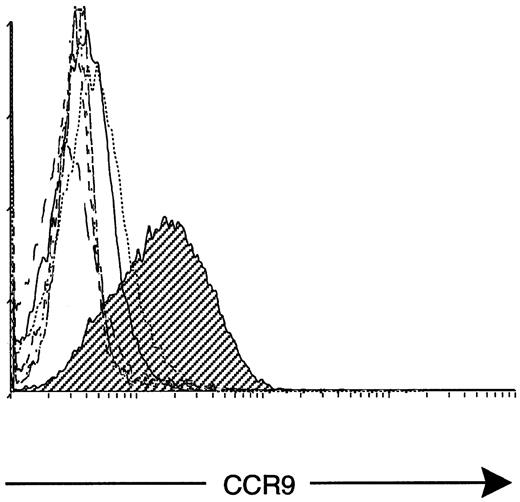 Fig. 1. Rabbit pAb antiserum K629 specifically recognizes mouse CCR9. / Murine Ba/F3 cells transfected with different human or mouse chemokine receptors were stained with rabbit antimouse CCR9 pAb K629 and antirabbit Ig-FITC, and the results were analyzed by flow cytometry. Ba/F3 transfectants expressing the following chemokine receptors were used: mouse CCR9 (shaded histogram), human CCR6 (–-), mouse CCR6 (...), mouse CCR8 (– —), human CXCR4 (––), human CCR9 (–-), and the void vector pCIneo (…..).