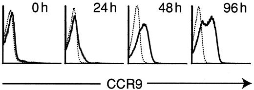 Fig. 3. Anti-CD3ε treatment ofRAG-2−/− thymocytes up-regulates CCR9 expression. / Total thymocytes were prepared from RAG-2–deficient animals 24, 48, and 96 hours after a single ip administration of 75 μg anti-CD3ε mAb 2C11 in PBS and stained with pAb K629 to analyze CCR9 expression (bold-line histograms). Control stainings of thymocytes from untreated RAG-2–deficient animals are also shown (dotted-line histograms). Results shown are representative of 3 independent experiments performed.