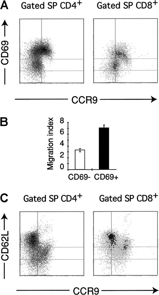 Fig. 4. Characterization of CCR9 expression on mature SP thymocytes. / Thymocytes were stained in 4-color experiments with anti-CD4 and anti-CD8 to gate in the SP thymocyte subpopulations. The gates used for CD4+ and CD8+ cells were those with numbers 5 and 8 in Figure 2, respectively. Gated cells were then analyzed for expression of CCR9 and CD69 (A) or CD62L (C). (B) CD69−and CD69+ thymocyte subsets were purified as described (“Materials and methods”), and migration in response to 300 nM CCL25 was assayed in Transwell inserts. A migration index was established as the ratio between cell number migrated in response to CCL25/cell number migrated to buffer. Results shown are representative of 4 independent experiments performed.