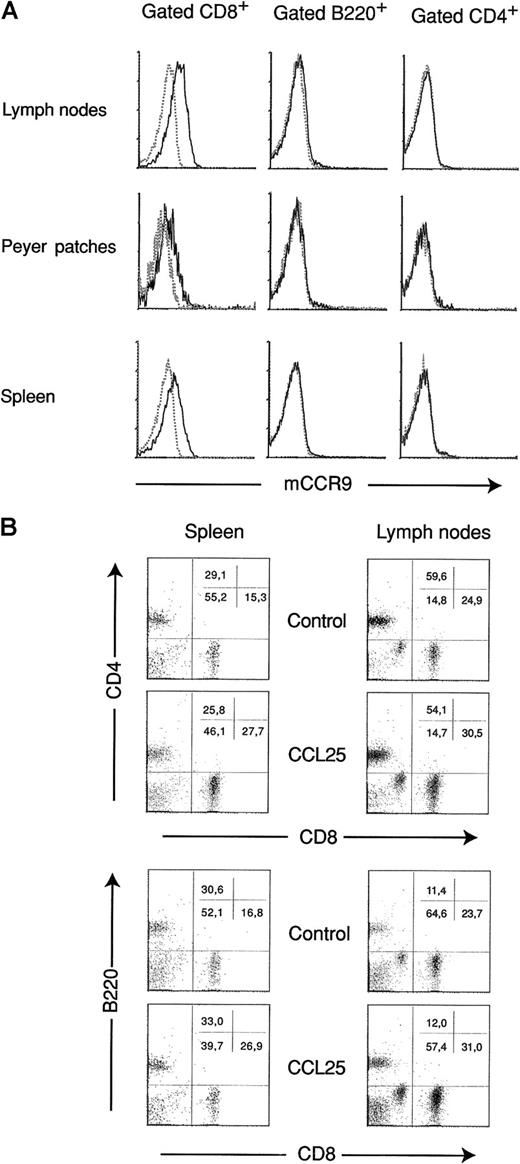 Fig. 5. Characterization of CCR9 functional expression in secondary lymphoid organs. / (A) Cells from the sources indicated were stained with anti-CD8, anti-B220, or anti-CD4 and the biotinylated rabbit antimouse CCR9 pAb K629, and gated CD8+, B220+ and CD4+ cells were analyzed for CCR9 expression (bold line). Control stainings with PBSst are shown (dotted line). (B) Flow cytometry analysis of lymphocytes migrated in response to 300 nM CCL25 or to control buffer. Lymphocytes in the lower chambers of Transwell inserts were counted and stained with anti-CD4 or anti-B220 and anti-CD8 pAbs. The percentage of cells in each quadrant is shown (upper right). Representative results are shown from 3 independent experiments performed.
