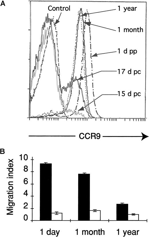 Fig. 6. Age-related effects on CCR9 expression and function in thymocytes. / (A) Total thymocytes from mice of the indicated age were stained with the biotinylated rabbit antimouse CCR9 pAb K629 followed by streptavidin-RPE. A control staining with PBSst is shown. (B) The migration response to 300 nM CCL25 by total thymocytes from mice of the indicated age was assayed in Transwell inserts, and a migration index was established as in Figure 3 (▪). The chemotactic component of this migration was estimated by placing CCL25 in the upper and lower chambers of the Transwell (■). Results are representative of 3 independent experiments performed.