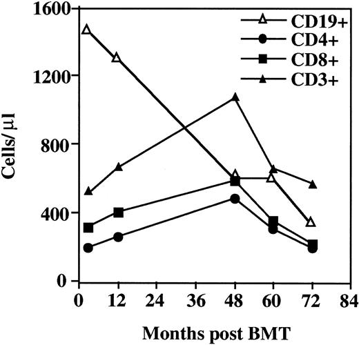 Fig. 1. Immunologic reconstitution in the. / WHN−/− patient after allogeneic BMT. Immunophenotype analysis of CD19+, total CD3+, CD4+, and CD8+ lymphocyte subsets in the WHN−/− patient after allogeneic BMT. Results are expressed as absolute values.