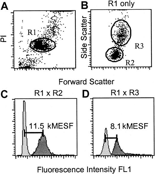 Fig. 1. Flow-FISH analysis of PBLs from a 14-year-old patient with sAANR 24 months after diagnosis. / (A) The cells were gated on region 1 (diploid cells, R1) on the basis of propidium iodide (PI) fluorescence and forward light scatter (FSC). (B) Additional regions 2 (lymphocyte gate, R2) and 3 (granulocyte gate, R3) were selected within R1 from FSC versus side scatter dot plot histograms. (C, D) Telomere fluorescence in the lymphocyte (panel C) and granulocyte (panel D) subfraction of total PBL was analyzed following hybridization with or without FITC–(C3TA2)3 PNA (dark gray and light gray histograms in panels C and D, respectively). At the time of analysis, the patients' blood counts were as follows: Hb, 8 g/dL; platelets, 19 000/μL; neutrophils, 800/μL; the difference from the age-adjusted normal telomere length for granulocytes (deltaTELgran) was − 6700 soluble fluorochrome (MESF).