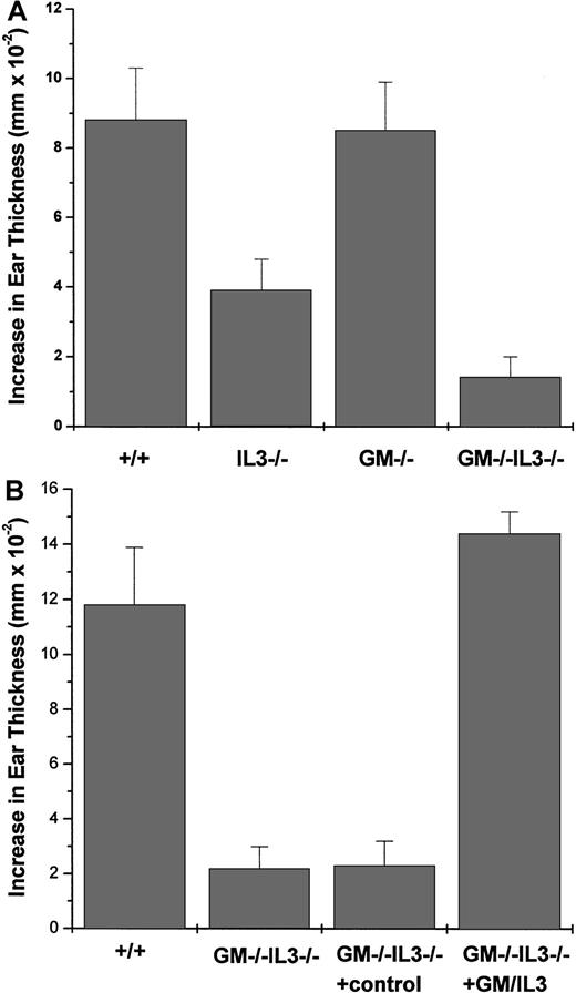 Fig. 3. Contact hypersensitivity reactions are compromised in GM-CSF/IL-3–deficient mice. / Mice were sensitized with oxazolone on the abdomen and foot pads on day 0 and challenged on the ear on day 5. Ear thickness was measured with a micrometer. (A) Wild-type versus IL-3–deficient,P < .0001. GM-CSF/IL-3 deficient versus IL-3 deficient,P < .0001. Similar results were observed in 8 independent experiments on both the C57Bl/6 and Balb/c backgrounds. (B) Defective contact hypersensitivity reactions can be reversed by the administration of GM-CSF and IL-3 protein during initial sensitization. Wild-type versus GM-CSF/IL-3 deficient, P < .0001. GM-CSF/IL-3 deficient versus control treatment, not significant. GM-CSF/IL-3 deficient versus GM-CSF/IL-3 treatment,P < .0001. Wild-type versus GM-CSF/IL-3 treatment, not significant. Similar results were observed in 5 independent experiments.