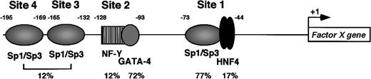 Fig. 6. Summary of the cis and transelements of the factor X promoter. / The translation start site is designated as +1. Boundaries of the protein-protected sites defined by the DNase I footprint assays are shown. Identities of the transcription factors binding at these sites are noted. Promoter activities in HepG2 cells of constructs containing mutations at these sites (expressed as a percentage of the wild type) are shown below the sites.