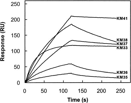 Fig. 3. Kinetic parameters for binding of factor VIII light chain to immobilized scFv. / Factor VIII light chain (20 nM) was incubated with immobilized scFv KM33 (3.3 fmol/mm2), KM35 (63.3 fmol/mm2), KM36 (67.5 fmol/mm2), KM37 (28.3 fmol/mm2), KM38 (32.3 fmol/mm2), and KM41 (25.0 fmol/mm2) in 200 mM NaCl, 2 mM CaCl2, 0.05% (v/v) Tween 20, and 20 mM HEPES, pH 7.4 at a flow rate of 20 μL/min for 2 minutes at 25°C. Dissociation was initiated on replacement of ligand solution by buffer. Response is indicated as resonance units (RU) and is corrected for nonspecific binding (< 5%). To obtain similar values of resonance units for all scFv, the amount of scFv KM33 immobilized was approximately 10-fold reduced compared to the other scFv. Similar values of kon and koffwere found when higher concentrations of scFv KM33 were immobilized.