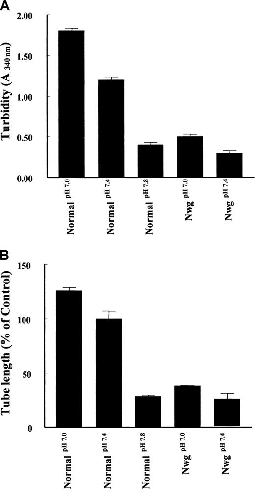 Fig. 6. Effect of fibrin structure on capillary tube formation. / Fibrin matrices from normal fibrinogen and fibrinogenNieuwegein were polymerized at pH 7.0, 7.4, and 7.8. (A) Turbidity at 340 nm was measured after 2 hours of polymerization. (B) The hMVEC were seeded on top of these fibrin matrices and stimulated with 5 ng/mL bFGF and 1 ng/mL TNF-α to form invasive capillary-like tubular structures. Capillary-like tubular structure formation was quantified after 4 days and expressed as percent of control (normal fibrin at pH 7.4). Data are mean ± SD of 6 cultures in 3 independent experiments.