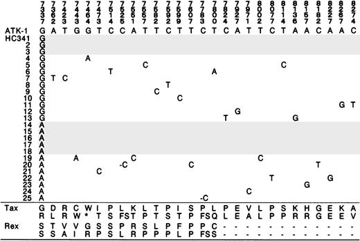Fig. 2. Mixture of 2 consensus sequences in HC 34. / One consensus sequence had G at 7337 and the other had A at 7337. Two consensus clones were shadowed. Variants of this 2-consensus sequence also occurred. Amino acid in Tax and Rex of ATK-1 and the altered amino acid are shown at the bottom. *, stop codon; FS, frame shift. Stop codon at 7464 is observed as a single subclone.