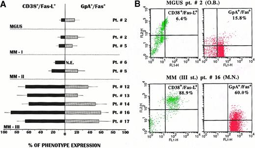 Fig. 2. In vitro expansion of myeloma cells and erythroblasts separately cultured from the bone marrow of patients with MGUS or MM. / (A) A predominant expansion of Fas-L+ myeloma clones was observed in plasma cell cultures from patients with stage III MM. Similarly, a prevalent expansion, though to a lower extent, of the Fas+ erythroblast subset was recorded in parallel erythroid cultures from these patients (NE indicates not established). (B) Representative cytofluorimetric patterns of CD38+bright/Fas-L+ and GpA+ cell expansion. As compared with those from the MGUS subject, both subsets were largely expanded in the cultures from the MM patient.