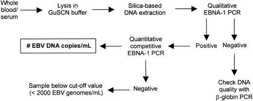 Fig. 1. Experimental approach for EBV DNA load determination in whole blood and serum. / Fresh whole blood or serum was lysed in guanidine isothiocyanate (GuSCN) buffer, and DNA was isolated by silica-based extraction. EBV status was assessed by qualitative EBNA-1 PCR, and EBV DNA in positive samples was quantified by quantitative competitive PCR. DNA quality was checked with β-globin PCR.