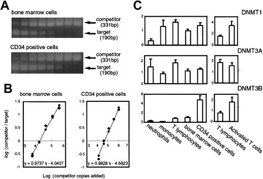 Fig. 2. Expression levels of. / DNMTs in normal hematopoietic cells measured by competitive PCR. (A) Examples of the competitive PCR assay forDNMT3B. Phosphorimages of 2 agarose gels stained with Vistra green are shown. The lanes contained the products amplified from a constant amount of the cDNA mixture, and the competitor DNA prepared in successive 3-fold dilutions. (B) Graphs show the regression analysis of the results obtained in panel A. The initial amount of target DNA was estimated by the point where log(products from competitor/products from target) = 0. (C) Levels of the DNMT transcripts in normal hematopoietic cells. The number of samples are neutrophils, n = 3; monocytes, n = 3; peripheral T cells, n = 3; PHA-activated T cells, n = 3; bone marrow cells, n = 6; CD34+ cells, n = 5. The levels of DNMTs are displayed as relative values calculated such that the mean of the normal bone marrow cells would equal a value of 1 after correcting the variations by the levels ofGAPDH.