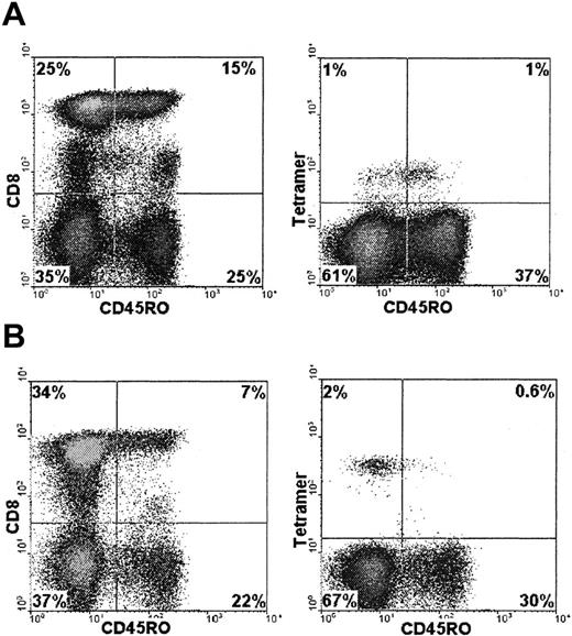 Fig. 6. Expression of the CD45R0 isoform on CMV-specific CTL. / CD45R0 expression was determined in the total CD8+ T-cell population or the tetramer-binding CD8+ T cells by using flow cytometry. Examples shown are from patient 5 (A) and patient 1 (B). CD45RO expression is indicated on the x-axis. The y-axis represents CD8+ staining of the total PBMC population or tetramer staining of CD8+ gated cells.