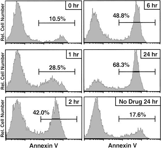 Fig. 4. Annexin V kinetics of AP1903/Fas-induced apoptosis. / LV′VFas-transduced primary human T lymphocytes were incubated with 10 nM AP1903, and aliquots of cells were stained with annexin V after 1, 2, 6, and 24 hours. As a control, cells were stained at the beginning of the treatment (0 hour) and after 24 hours in the absence of drug. Cells were analyzed by the use of flow cytometry, and the annexin V staining profile is shown. Percentages of annexin-V–positive (apoptotic) cells are indicated. Untransduced T cells incubated with 10 nM AP1903 showed no significant change in their annexin V staining profile (data not shown).