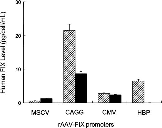Fig. 2. In vitro evaluation of rAAV-hFIX constructs. / Human HepG2 hepatoma cells (striped bars) and C56BL/6-derived primary myoblasts (solid bars) were seeded in 12-well plates at a density of 5 × 104 cells/well. Twenty-four hours later, the cells were exposed overnight to 1 × 1010 genomes of vectors encoding the hFIX gene under the control of either constitutive or liver-specific promoters. All transductions were performed in triplicate in a total volume of 500 μL. Twenty-four hours conditioned media were collected on day 4 after infection and assayed for hFIX by ELISA.
