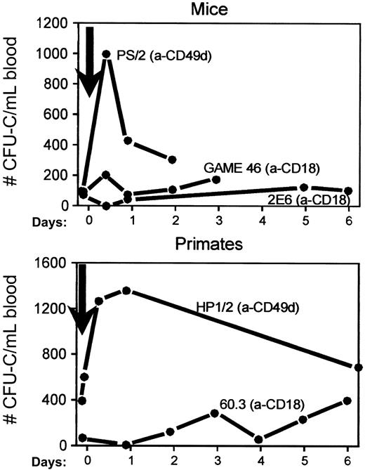 Fig. 2. Mobilization kinetics after single anti-integrin antibodies in mice and primates. / Mice were treated with 1 injection alone of anti-α4 (a-CD49d, clone PS/2) or a single injection of 2 different clones of anti-β2 (anti-CD18, clones GAME 46 and 2E6, upper panel). The monkeys were given 1 injection alone of anti-α4 (anti-CD49d, clone HP1/2 humanized) or anti-β2 (anti-CD18, clone 60.3, lower panel).