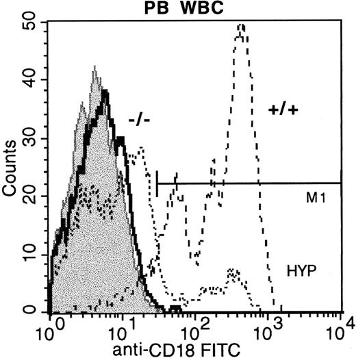 Fig. 4. Peripheral blood WBCs from CD18 hypomorphic mice, CD18 knockout mice, and wild-type mice stained with anti-CD18 FITC. / Staining of wild-type mouse WBCs is shown with dashed lines (92% positive), hypomorphic mouse WBCs by dotted lines (14.65% positive), and knockout mouse WBCs by the bold line (< 1% positive). FITC isotype control WBCs are shown in the gray shaded histogram.