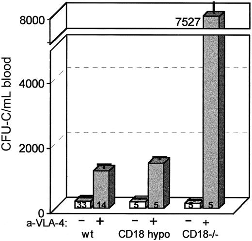 Fig. 5. Mobilization in CD18 hypomorphic, CD18 knockout mice, and wild-type control mice treated with anti-CD49d (VLA4). / Mice were given 3 daily injections of antibody (PS/2) at 2 mg/kg per day and bled on the fourth day. Anti-α4 treatment of CD18 hypomorphic mice increased the circulating CFU-C level about 7-fold above baseline, similar to wild-type controls (about 5-fold), whereas the same treatment of CD18 knockout mice raised the CFU-C per milliliter of blood about 49-fold above baseline.