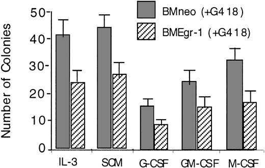 Fig. 1. Effect of ectopic expression of Egr-1 on colony-forming ability of myeloid-enriched BM cell cultures. / After infection of BM cells with MSCVneo (BMneo) or MSCVneo Egr-1 (BMEgr-1), cells were assayed in methylcellulose supplemented with IL-3 (10% WEHI-3B–conditioned medium), SCM (10%), G-CSF (100 ng/mL), GM-CSF (100 ng/mL), or M-CSF (10% L-cell–conditioned medium as a source of M-CSF). Cells were seeded at concentrations of 0.5 × 105 cells/mL in 35-mm tissue-culture dishes in the presence of G418 (650 μg/mL), and colonies were scored after 8 days. Values are mean (± SD) results from 3 independent experiments.