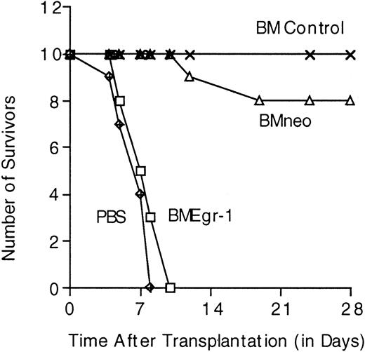 Fig. 7. Survival in lethally irradiated mice given transplants of stem cell–enriched BM control cells, MSCVneo–infected cells, or MSCVneo Egr-1–infected cells. / After irradiation of Balb/c mice, infection of BM cells, and selection in G418, 10 mice in each group were given injections in the tail vein with the indicated infected BM cells (0.2 × 106 cells per 300 μL PBS per mouse). Cell-free control animals were given injections of 300 μL PBS. Mice were housed and fed in a sterile environment and monitored for survival for up to 28 days.