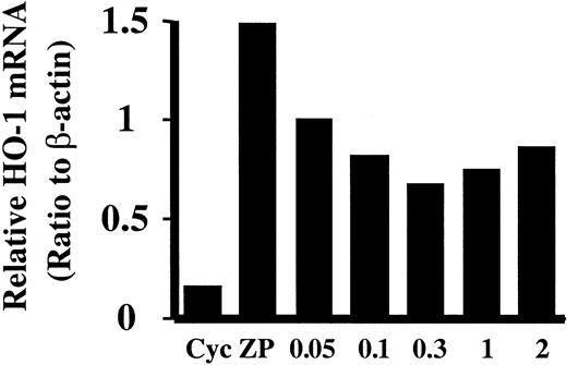 Fig. 3. Effect of cycloheximide on HO-1 mRNA induction by ZnPP. / HA-1 cells were preincubated with various doses of cycloheximide for 15 minutes prior to incubation with 10 μM ZnPP. HO-1 mRNA was evaluated by Northern analysis and normalized to the β-actin mRNA obtained from the same blot. Lane Cyc, cells incubated with 2 mM cycloheximide alone for 15 minutes as control; lane ZP, cells incubated with 10 μM ZnPP for 24 hours. Lanes 0.05, 0.1, 0.3, 1, and 2 show cells preincubated with 0.05, 0.1, 0.3, 1, or 2 mM cycloheximide and then incubated with ZnPP for 24 hours.