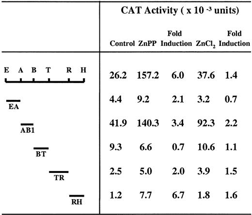 Fig. 8. Localization of transcription enhancer activity of the EH subfragment in HA-1 cells. / The indicated fragments of EH were subcloned into the vector pMHO1CATΔ-33, which contains a minimal HO-1 promoter (−33 to +73). E indicates EcoRI; A, AflII; B, BsrBI; T, TaqI; R, RsaI; H,HindIII. HA-1 cells were transiently transfected with the indicated CAT constructs and incubated with 10 μM ZnPP or 100 μM ZnCl2 for 24 hours. The CAT assay was carried out as described under “Materials and methods.” The data represent the average value from 3 independent experiments and the mean fold induction of CAT activity in extracts of cells incubated with ZnPP or ZnCl2 compared to that in extracts of cells incubated with the constructs alone.