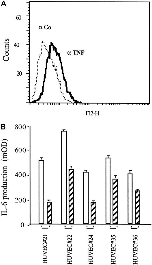Fig. 2. Autocrine activation of TNF-expressing HUVECs. / (A) TNF expression of HUVECs revealed by FACS analysis using TNF-specific mAb T1 (αTNF, solid line) versus an isotype-matched control antibody (Co, dotted line). (B) IL-6 production in the supernatants of HUVECs as determined by ELISA in the absence (empty bars) or presence (hatched bars) of the TNF-specific mAb T1 (30 μg/mL each). Shown are 5 examples of IL-6–expressing HUVECs generated from different cord donors (No. 21-36).