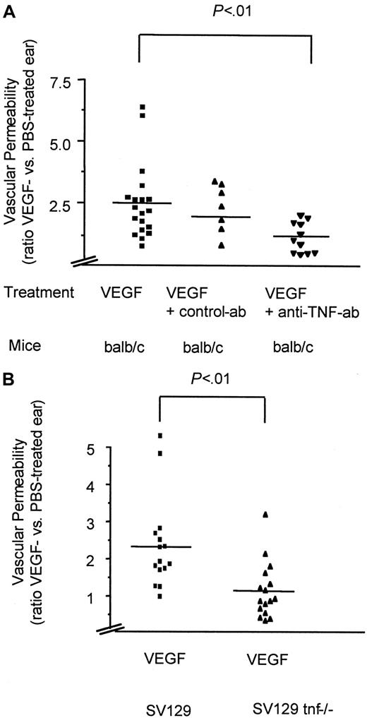 Fig. 5. TNF is essential for VEGF-induced vascular permeability in vivo. / VEGF-induced vascular permeability in BALB/c mice with or without pretreatment with anti-TNF antibodies (A) in TNF gene–deficient (tnf−/−) and the corresponding wild-type mice (SV129) (B). Shown are scatter diagrams with each symbol representing the ratio between the VEGF- and PBS-treated ear of one tested animal. Depicted are the mean (line) and the significance (P values) as calculated from an unpaired t test using a commercial program (InStat 2.01, GraphPad, San Diego, CA).