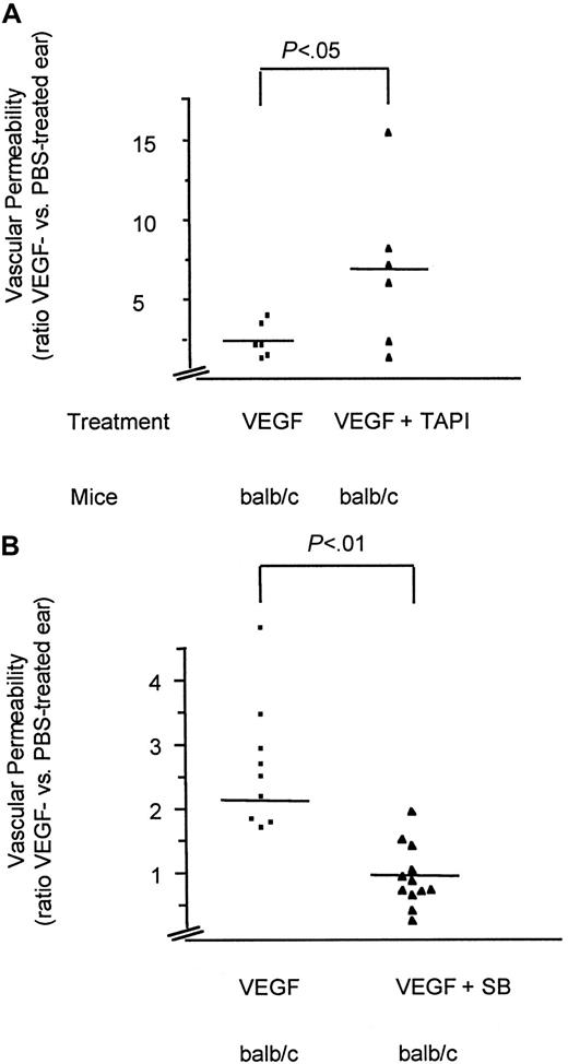Fig. 7. Analysis of VEGF-induced vascular permeability in vivo. / VEGF-induced vascular permeability in BALB/c mice pretreated (30 minutes) with TAPI or solvent (A) or the SAPK-2/p38 specific inhibitor SB203580 (VEGF plus SB) or solvent (VEGF) (B). Shown are scatter diagrams with each symbol representing the ratio between the VEGF- and PBS-treated ear of one tested animal. Depicted are the mean (line) and the significance (P values) as calculated from an unpaired t test using a commercial program (InStat 2.01). Note the different y-axis scales. Although variations between the values of individual animals were observed, probably due to injuries of small capillaries during injections, the differences between the individual groups were highly significant.