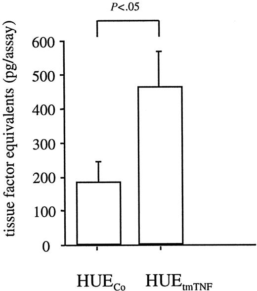 Fig. 9. Constitutive tissue factor production in tmTNF-expressing endothelial cells. / Tissue factor production in immortalized HUVECs expressing tmTNF (HUEtmTNF) versus control transfected cells (HUECo) was assessed as described in the text. Shown are the means and the SD of a minimum of 3 independent experiments (with at least 5 clones in case of the HUEtmTNF and 3 clones in case of the HUECo).