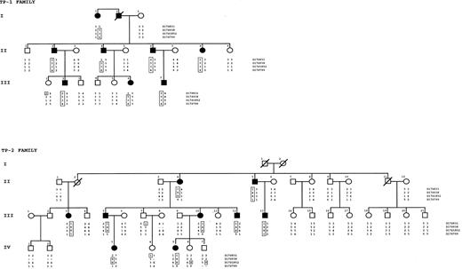 Fig. 1. Family pedigrees with haplotype reconstruction for informative markers on 17p. / The at-risk haplotype is boxed.