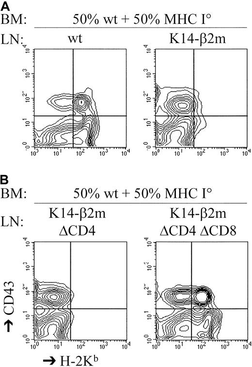 Fig. 4. CD8+ T lymphocytes from K14-β2m mice kill syngeneic MHC class I+ hematopoietic cells in vivo. / Lethally irradiated C57BL/6 hosts were reconstituted with a mixture of C57BL/6 and C57BL/6-β2m° bone marrow cells that were cotransferred with C57BL/6 or K14-β2m lymph node (LN) cells. Where indicated, the K14-β2m lymph node cells were depleted of either CD4+ (LN ΔCD4) or CD4+ plus CD8+ (LN ΔCD4ΔCD8) cells (by antibody plus complement treatment) before transfer. Reconstitution by C57BL/6 bone marrow cells was assessed 2 weeks later by 2-color flow cytometry of bone marrow with the use of anti-CD43 (detecting B cell precursors) and anti–H-2Kbantibodies.