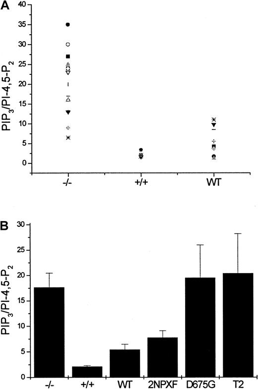 Fig. 3. The effect of the SHIP constructs on SF-induced PIP3 levels in SHIP−/− BMMCs. / (A) PIP3 levels were determined, as described in “Materials and methods,” following a 2-minute stimulation of SHIP−/−, SHIP+/+ and SHIP−/−BMMCs expressing the WT-SHIP construct with 400 ng/mL SF. (B) PIP3 levels were determined after 2 minutes of stimulation with 400 ng/mL SF in SHIP−/− BMMCs expressing the indicated SHIP constructs. Because the PI-4,5-P2 levels were unaffected by either the presence or absence of SHIP or by SF stimulation, they were used as a loading control for the Partisol 10 SAX high-performance liquid chromatography column runs. To reflect this standardization the results are expressed as PIP3/PI-4,5-P2 ratios. Each point is the mean ± SE of a minimum of 4 determinations.