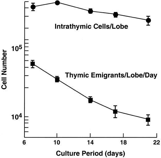 Fig. 1. Emigration rate from cultured murine thymic lobes. / C57Bl/6 embryonic thymus lobes (from day 16 of gestation) were cultured at a medium-air interface by placing the lobe on a nylon mesh supported by a cylinder, adjusting the level of medium to the height of the mesh. Cells that emigrate from the thymus pass through the mesh and fall to the bottom of the tissue culture well. The day before harvest, the lobe and support apparatus were transferred to a new well. The following day, the lobe and cells that had emigrated from it over the preceding day were harvested and counted. In the experiment shown, 60 lobes were initially placed in culture, then, at each time point, 6 were removed to examine intrathymic cells, leaving at the last time point, 36 lobes. At each time point, emigrants were pooled from 60 lobes (beginning) to 36 lobes (end). Error bars (± SD) are shown for 3 experiments.