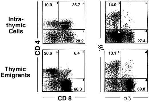 Fig. 2. Phenotype of thymic emigrants—expression of CD4 versus CD8 and TCRαβ vs γδ. / Thymic emigrants were generated as in Figure 1. Lobes were cultured for 12 days and transferred to a new well. Thymocytes that emigrated during the following 18 hours were harvested and analyzed by flow microfluorimetry for the indicated markers.