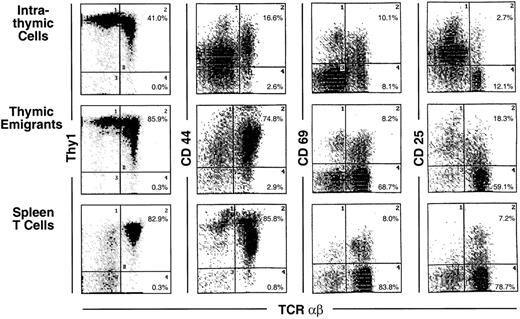 Fig. 3. Phenotype of thymic emigrants—expression of Thy1, CD44, CD69, and CD25 versus TCRαβ. / Thymic emigrants were generated as in Figure 2 and analyzed for the indicated markers. For comparison, intrathymic cells and mature peripheral T cells isolated from spleen are shown.