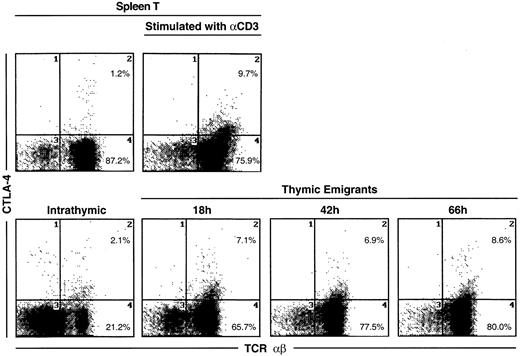 Fig. 6. CTLA-4 expression on thymic emigrants. / Thymic lobes were cultured as in Figure 2 and beginning on day 12, emigrants were collected for 18, 42, or 66 hours, then analyzed for expression of CTLA-4. For comparison, splenic T cells were activated for 72 hours with different concentrations of anti-CD3, then analyzed for CTLA-4 expression.