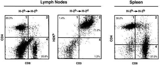 Fig. 11. Repopulation of lymphoid organs by thymic emigrants. / C57Bl/6 (H-2b) thymic emigrants were generated as in Figure2. Emigrant cells (4 × 106/recipient) were injected intravenously into syngeneic SCID mice or allogeneic CB.16 (H-2d) SCID mice that were treated before transfer with sublethal irradiation and anti-asialoGM1. Two months later, lymphoid organs were analyzed for the indicated markers.