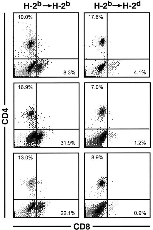 Fig. 12. Splenic repopulation by thymic emigrants. / Emigrants were transferred into syngeneic or allogeneic recipients as in Figure 11. Forty-nine days later, spleen cells were analyzed for CD4 and CD8 expression. Three individual recipients of each type are shown whose total nucleated spleen cell numbers were: syngeneic (2, 3, and 5 × 106) versus allogeneic (0.4, 1, and 4 × 106). The percentage of CD8 cells, indicated in the lower right quadrant, was notably lower in allogeneic recipients.