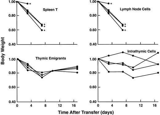 Fig. 13. Lack of acute GVHD in recipients of thymic emigrants. / C57Bl/6 thymic emigrants (4 × 106) were transferred into allogeneic SCID recipients as in Figure 9 and examined for induction of acute GVHD as indicated by loss of body weight and mortality. For comparison, unfractionated C57Bl/6 lymph node cells (0.5 × 106), purified splenic T cells (0.5 × 106), or unfractionated intrathymic cells (4 × 106) were injected.
