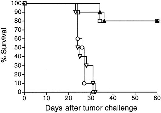 Fig. 3. Survival following vaccination with 38C13 Id adenoviruses versus Id-KLH protein. / Groups of 10 mice were vaccinated with a single IM injection of 108 PFU Ad-IdhuCR (▴) or Ad-IdmuCR (▿) or 2 biweekly injections of PBS (○) or 38C13 Id-KLH plus QS21 adjuvant (■). Three weeks following vaccinations, mice were injected SQ with 1000 38C13 tumor cells and followed for survival. Results are representative of 4 individual experiments.