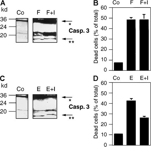 Fig. 9. The caspase-3 inhibitor zDEVD-fmk does not interfere with CD95- or epirubicin-induced processing of caspase-3 in BJAB cells. / BJAB cells were either incubated in control medium (Co) or stimulated with 1 μg/mL anti-CD95/Fas antibody (F) or 1 μg/mL epirubicin (E). Some cultures were preincubated with 10 μM of the caspase-3 inhibitor zDEVD-fmk (I) 2 hours before anti-CD95 or drug treatment. After 24 hours of incubation, Western blot analyses were performed with antihuman caspase-3 (A, C). The positions of molecular mass markers are indicated at the left. Arrows indicate the positions of procaspase-3 (*) and the 17-kd active subunit of caspase-3 (**). The experiments were repeated and yielded similar results. Additionally, cell death was determined in the cultures after 24 hours of anti-CD95 or epirubicin treatment by trypan blue exclusion (B, D). Values are given as percentage of dead cells ± SD (n = 3).