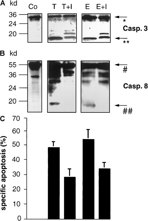 Fig. 10. The caspase-3 inhibitor zDEVD-fmk blocks drug-induced processing of caspase-8 and inhibits DNA fragmentation in BJAB cells. / BJAB cells were either incubated in control medium (Co) or stimulated with 0.1 μg/mL Taxol (T) or 1 μg/mL epirubicin (E). Some cultures were preincubated with 10 μM caspase-3 inhibitor zDEVD-fmk (I) 2 hours before drug treatment. After 48 hours of incubation, Western blot analyses were performed with antihuman caspase-3 (A) and antihuman caspase-8 antibodies (B). Positions of molecular mass markers are indicated at the left. Arrows indicate the positions of procaspase-3 (*), the 17-kd active subunit of caspase-3 (**), procaspase-8 (#), and the 18-kd active subunit of caspase-8 (##). The experiments were repeated and yielded similar results. Additionally, DNA fragmentation (C) was measured in the cultures after 48 hours of drug treatment. Values are given as percentage of specific apoptosis ± SD (n = 3).