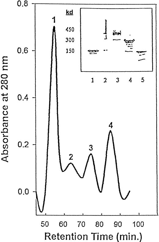 Fig. 1. HPLC purification of crude Rituxan homodimers. / Peak 1 = polymers; peak 2 = trimers; peak 3 = homodimers; peak 4 = monomers. The inset shows SDS-PAGE (4% to 15%) of the Rituxan monomers and homodimers separated by HPLC. Lane 1, Rituxan (monomer); lane 2, polymer (greater than 450 kd), HPLC fraction 1; lane 3, trimer (450 kd), HPLC fraction 2; lane 4, dimer (300 kd), HPLC fraction 3; lane 5, monomer (150 kd), HPLC fraction 4.