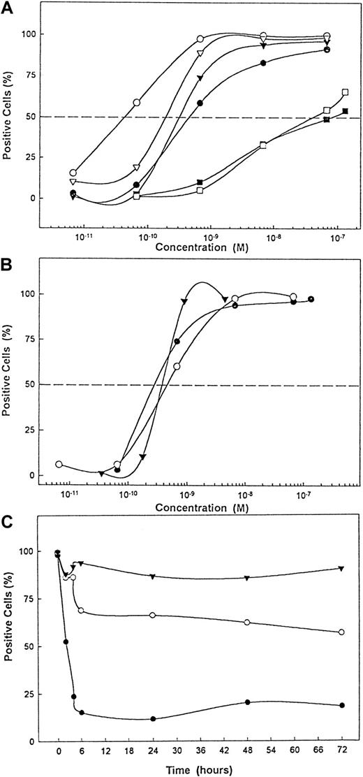 Fig. 2. Binding of Rituxan and FITC-Rituxan monomers, homodimers, and trimers to various cell lines and their dissociation from cell lines. / (A) Binding of FITC-Rituxan monomers to different cell lines: Daudi (●); DHL-4 (○); Ramos (▾); Raji (▿); Namalwa (▪); and Namalwa/MDR1 (■). (B) Binding of Rituxan monomers (●), homodimers (○), and trimers (▾) to Ramos cells. In this procedure, 1 × 106 cells per milliliter were incubated with different concentrations of mAbs (0.1 to 100 μg/mL) for 30 minutes on ice; then excess mAbs were washed out, and cells were treated with FITC-GAMIg for 20 minutes on ice, washed, and analyzed in FACScan. The percentage of positive cells was determined for each mAb, and values were plotted against the concentration of mAbs. The amount of mAb needed to saturate 50% of cells was determined and used to compare the relative avidity of monomers, homodimers, and trimers. (C) Dissociation of FITC-Rituxan monomers (●), homodimers (○), and trimers (▾) from Ramos cells. Cells at 1 × 106/mL were treated with 10 μg/mL (a saturating concentration) of FITC-Rituxan monomers, homodimers, or trimers on ice for 30 minutes, then washed, and analyzed by FACScan. The percentage of positive cells was determined at this point, which was considered time 0. Cells were incubated at 37°C for 2, 4, 6, 24, 48, and 72 hours, and at each time point, samples of cells were taken, washed, and analyzed by FACScan for FITC-positive cells. The results were plotted against time. This is 1 of 2 experiments carried out.